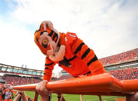 clemson university mascot the tiger
